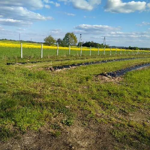 Słupki betonowe a łatwość montażu i konserwacji - poradnik dla właścicieli sadów