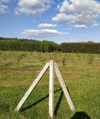 Słupki betonowe do siatki